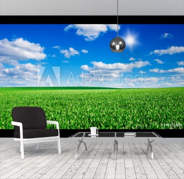 Image de Image of green grass field and bright blue sky
